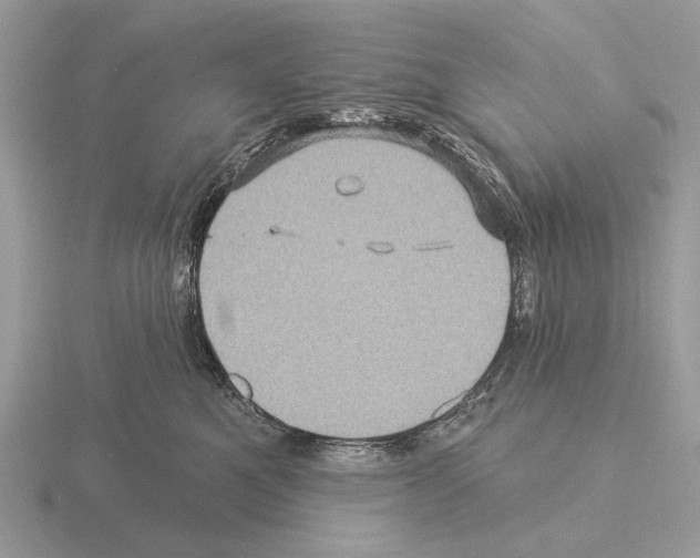 X0000115330521200912141221