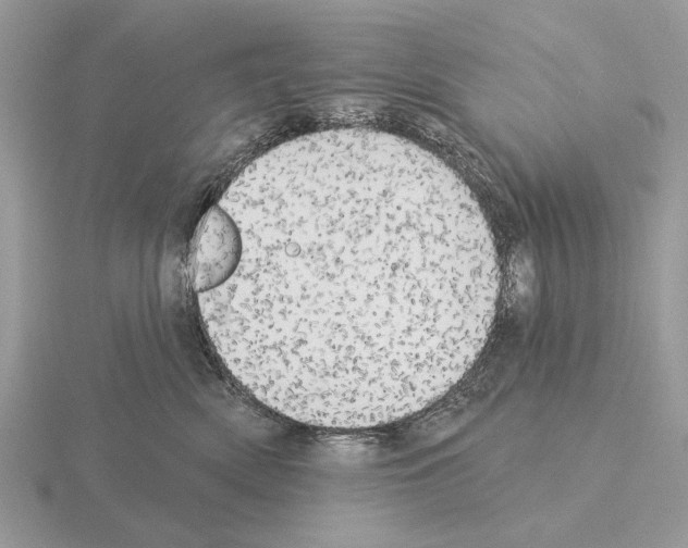 X0000115330522200912141221