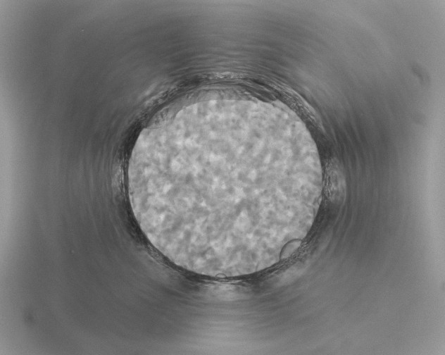 X0000115330523200912141221