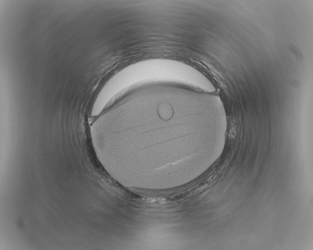 X0000115330524200912141221