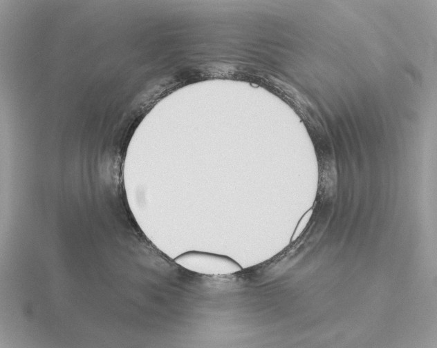 X0000115330525200912141221