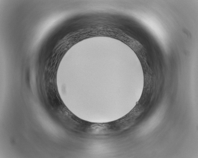 X0000115330526200912141221