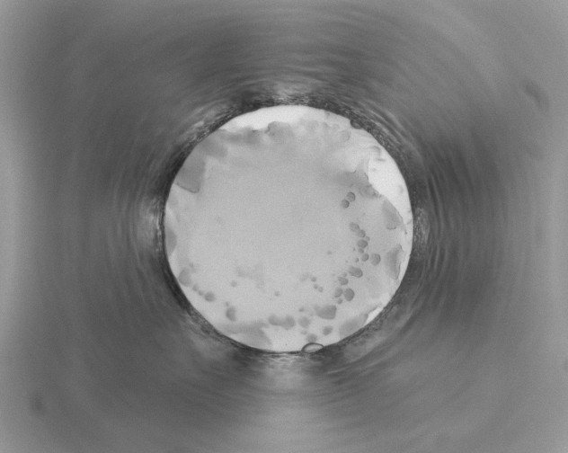 X0000115330527200912141221