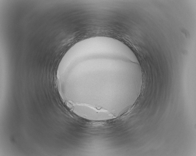 X0000115330528200912141221