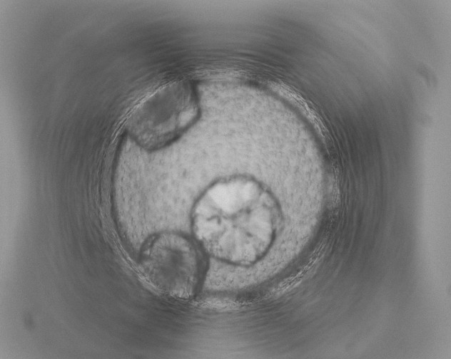 X0000115330529200912141221