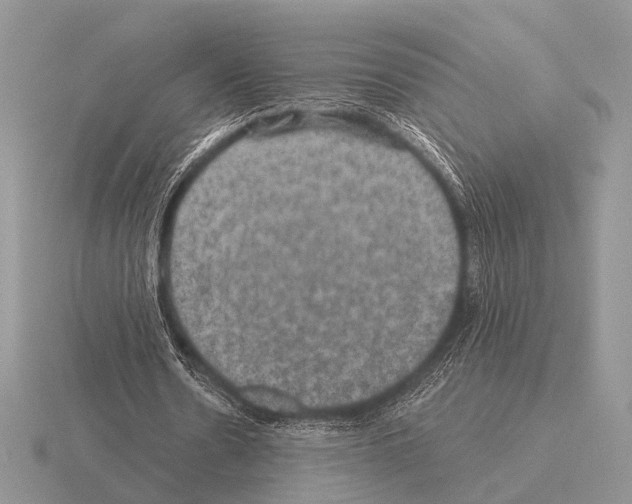 X0000115330530200912141221