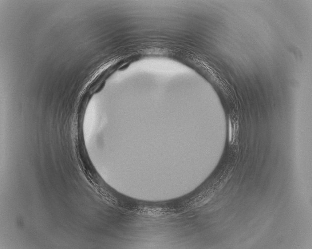 X0000115330531200912141221