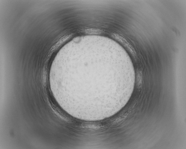 X0000115330533200912141221