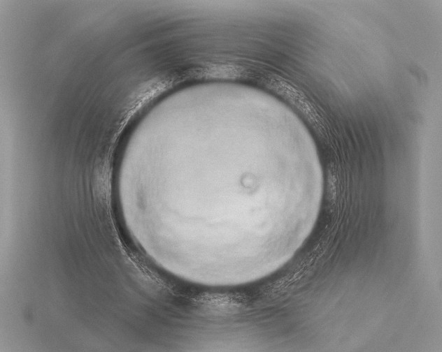 X0000115330534200912141221