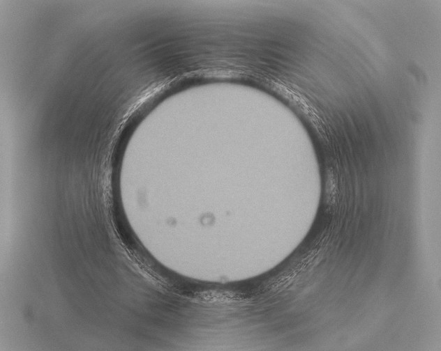 X0000115330535200912141221