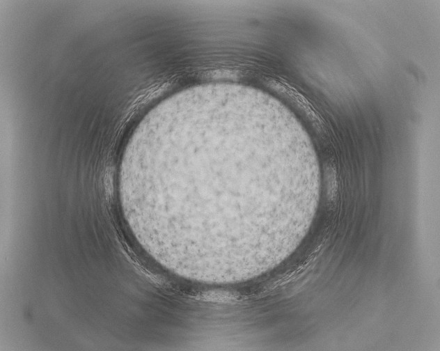 X0000115330537200912141221