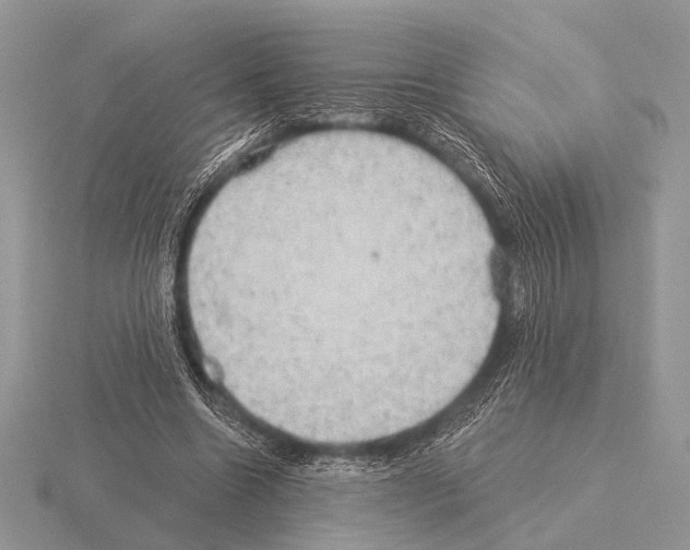 X0000115330538200912141221