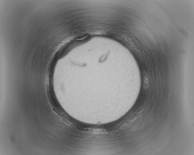 X0000115330539200912141221