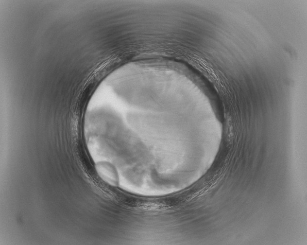 X0000115330542200912141221