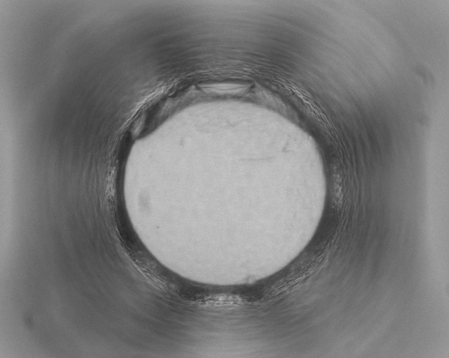 X0000115330543200912141221