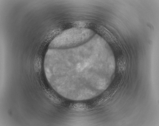 X0000115330546200912141221