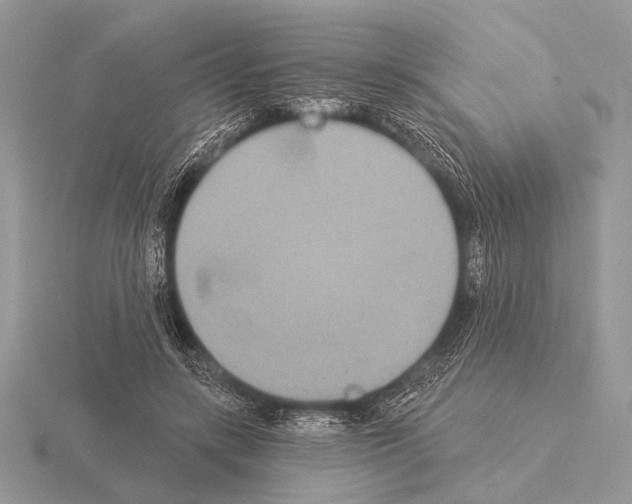 X0000115330547200912141221