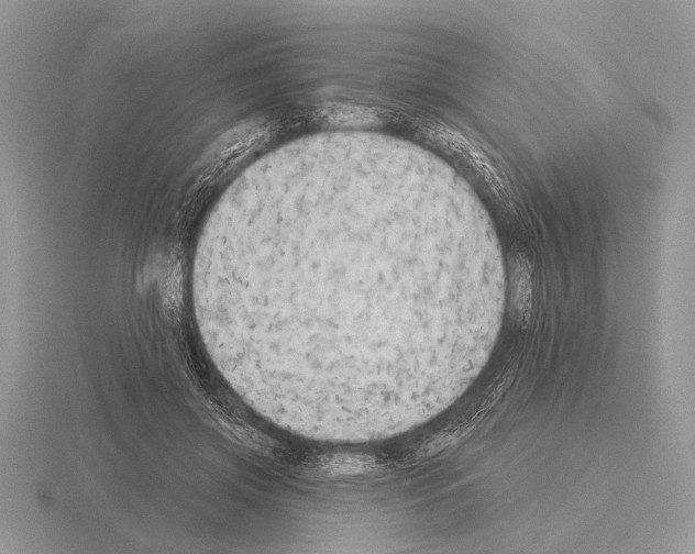 X0000115330549200912141221