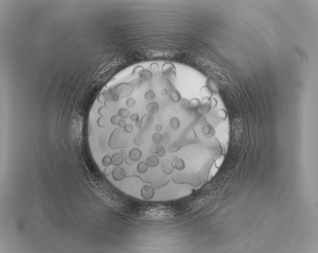 X0000115330550200912141221