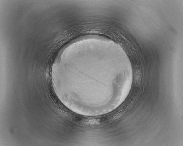 X0000115330553200912141221