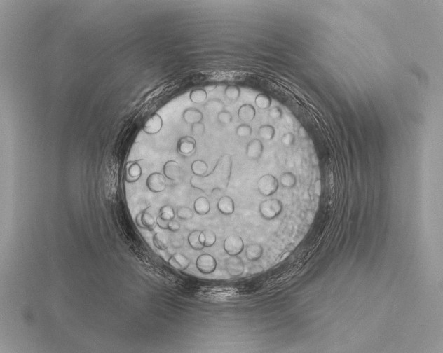 X0000115330554200912141221