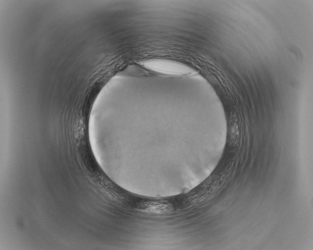 X0000115330555200912141221