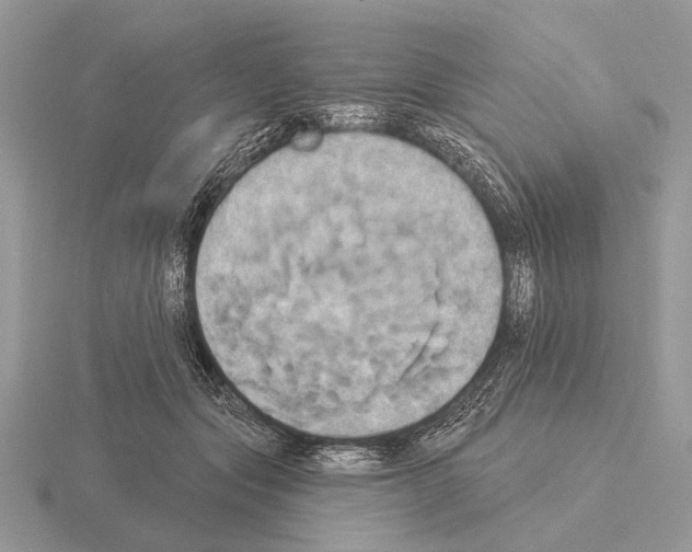 X0000115330557200912141221