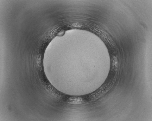 X0000115330559200912141221