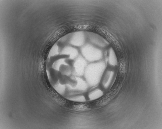 X0000115330561200912141221