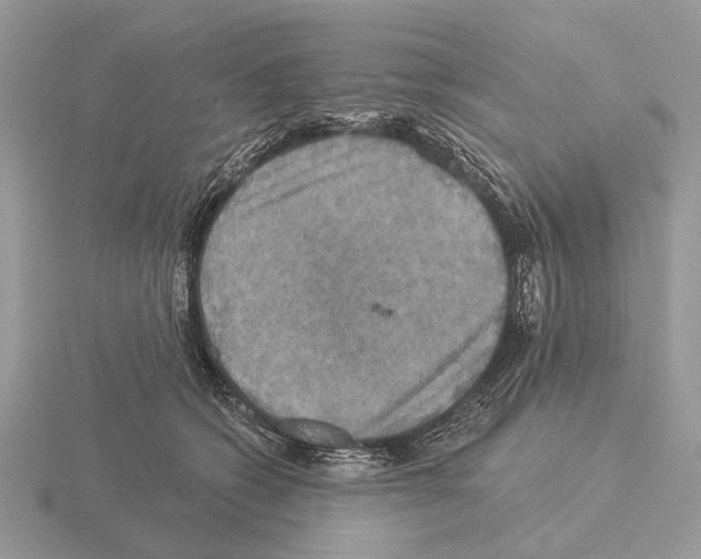 X0000115330562200912141221