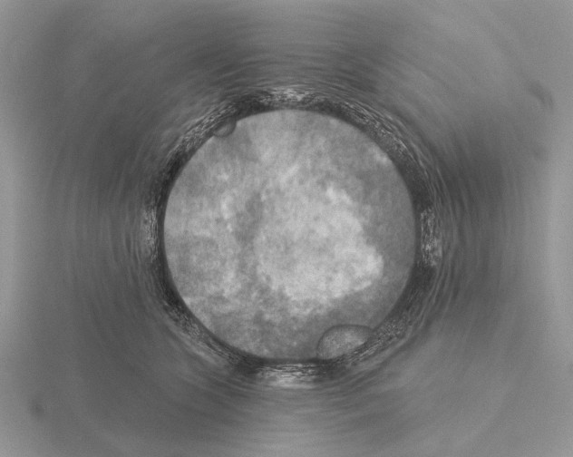 X0000115330563200912141221