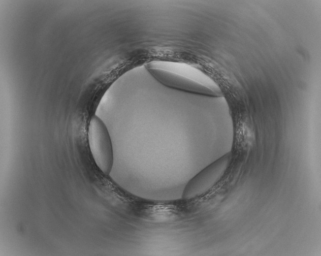 X0000115330566200912141221