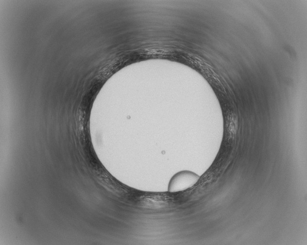 X0000115330567200912141221