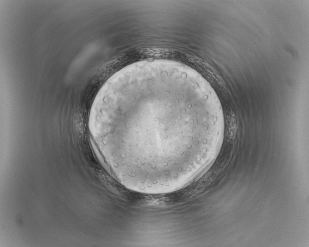 X0000115330569200912141221