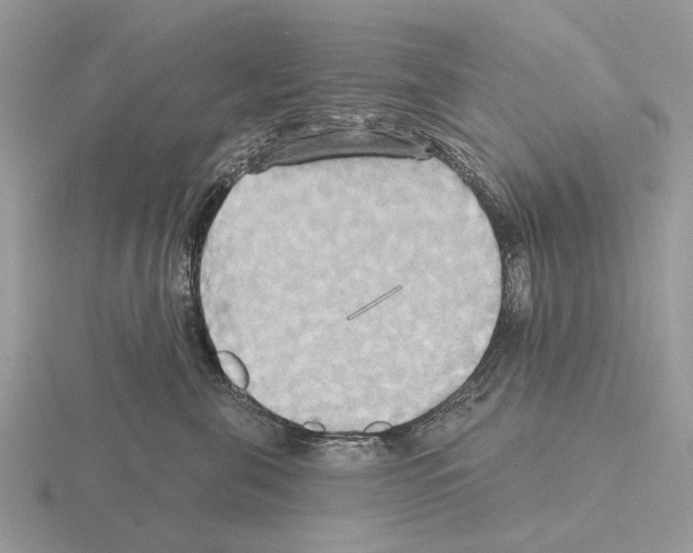 X0000115330571200912141221