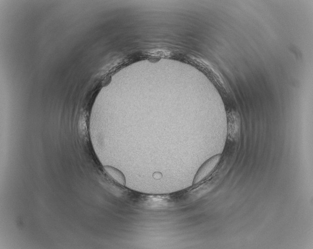 X0000115330573200912141221