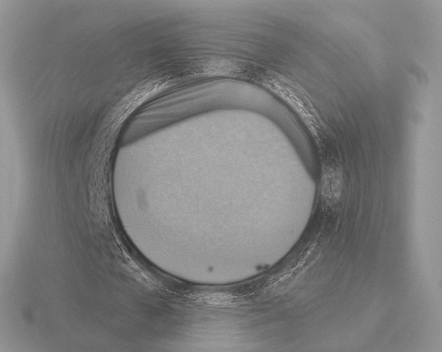 X0000115330577200912141221