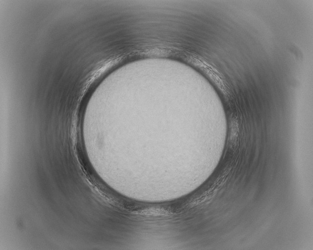 X0000115330578200912141221