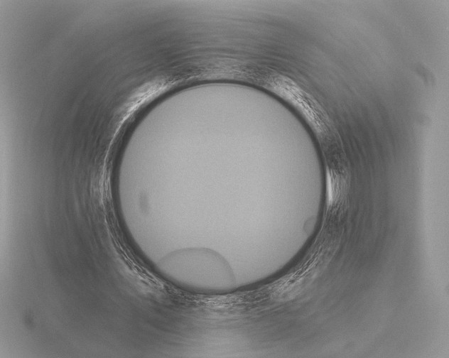 X0000115330579200912141221