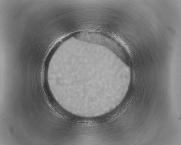 X0000115330580200912141221