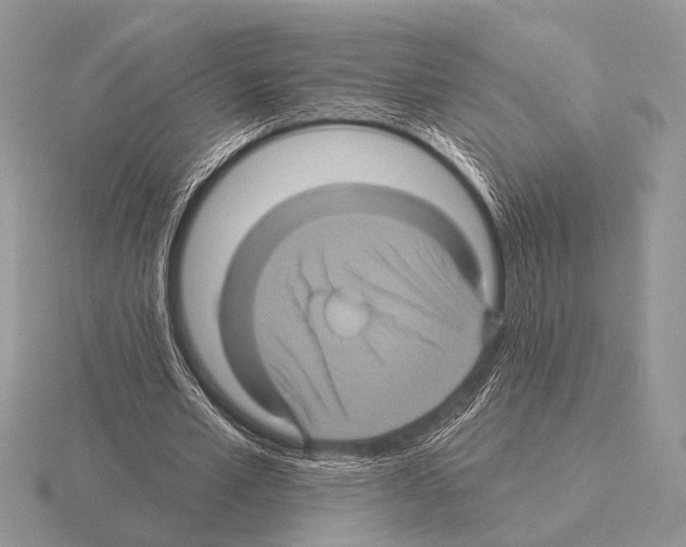 X0000115330581200912141221