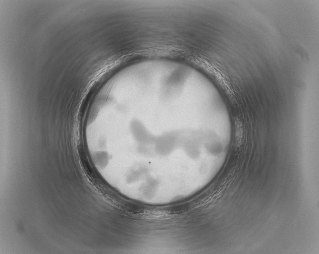 X0000115330582200912141221