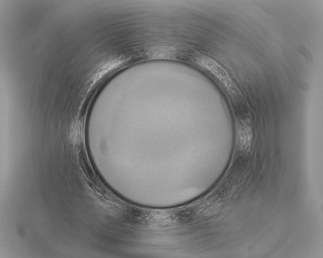 X0000115330583200912141221