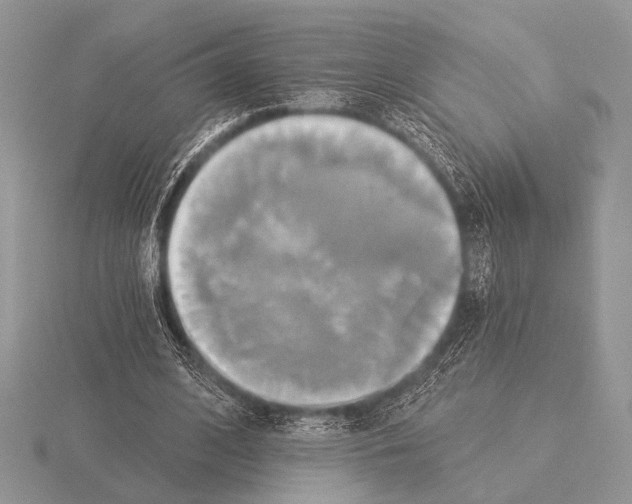 X0000115330584200912141221