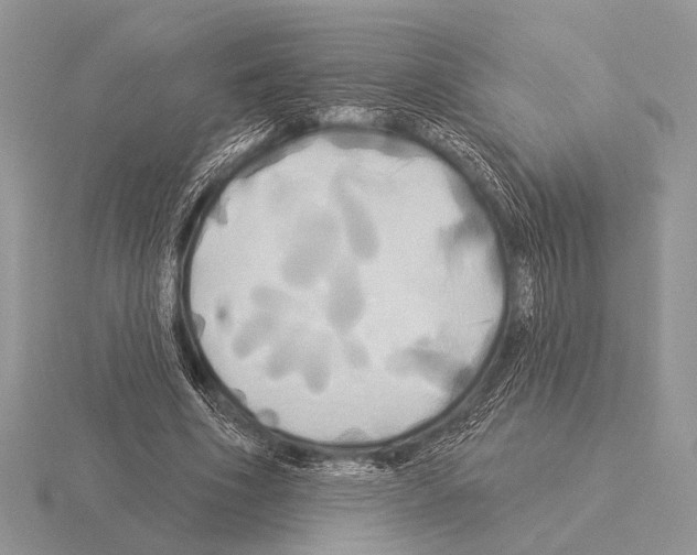 X0000115330586200912141221