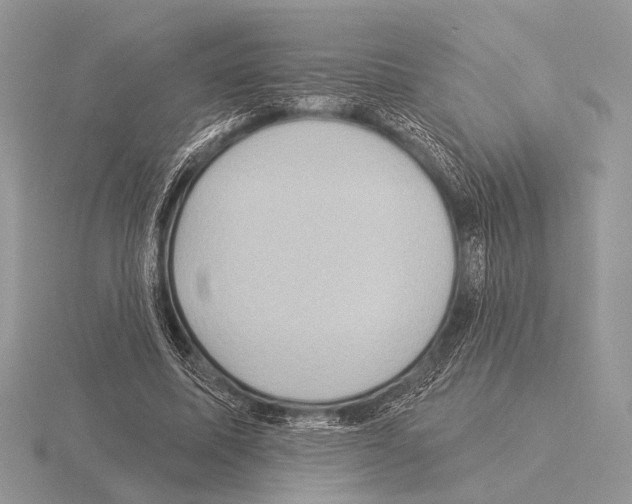 X0000115330587200912141221