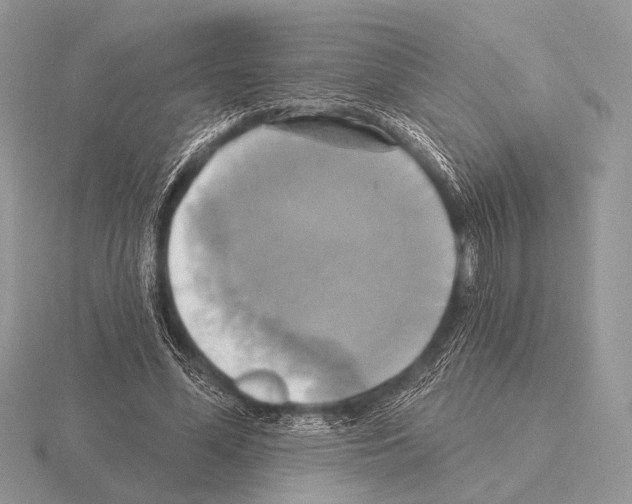 X0000115330588200912141221