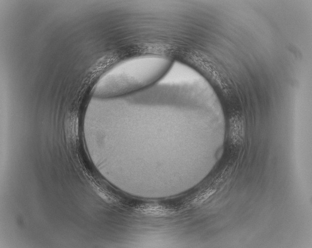 X0000115330589200912141221