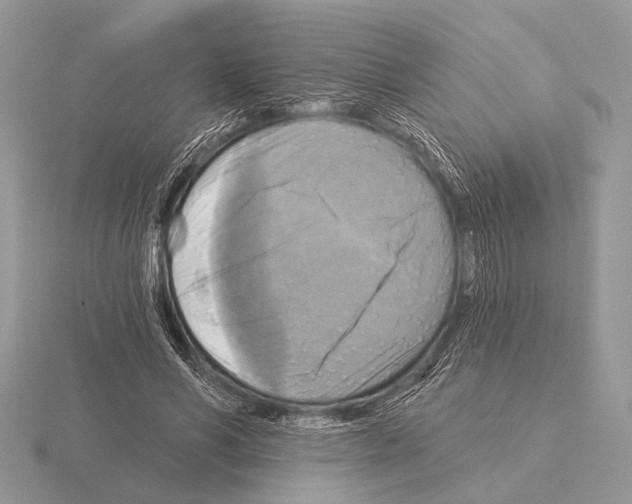 X0000115330590200912141221