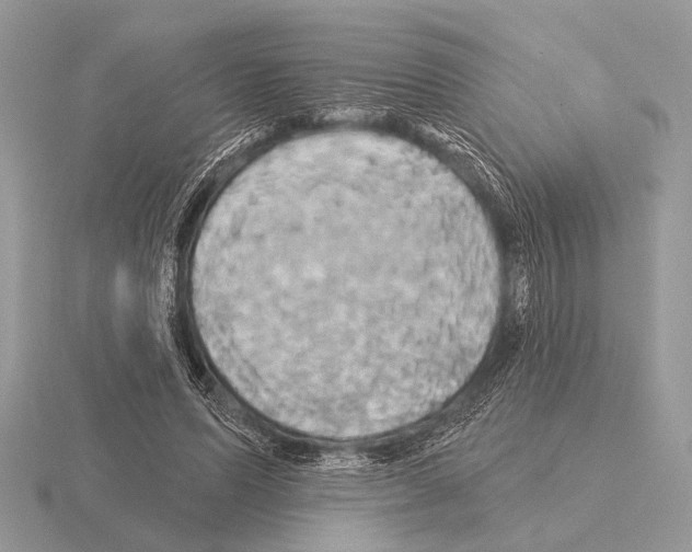 X0000115330591200912141221